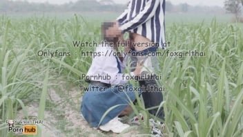 观看泰国Pornhuber吸吮阴茎的视频，农村学生被Pornhuber骗进甘蔗种植园。